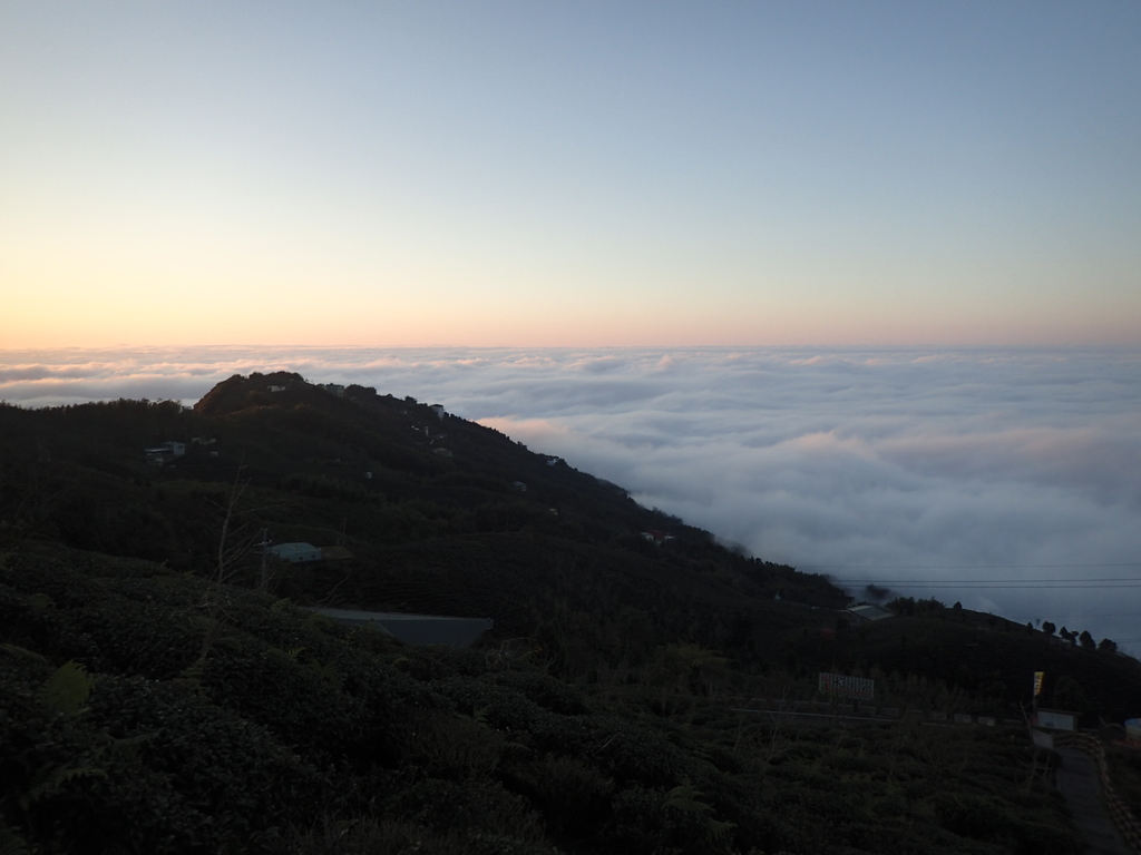 P1076430.JPG - 鹿谷  大崙山  觀霧亭之  暮光