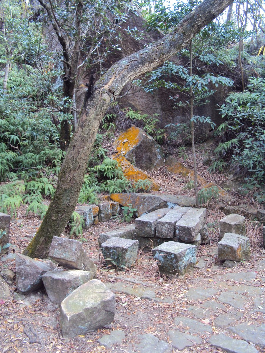 DSC06676.JPG - 內湖  金面山步道