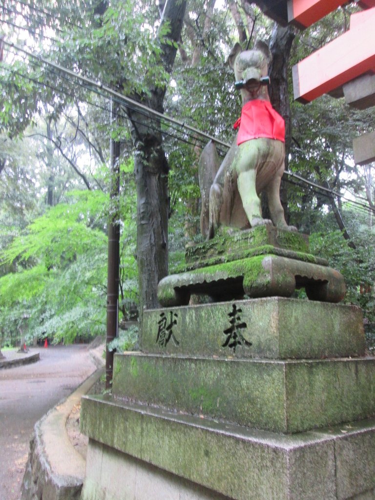 IMG_3690.JPG - 伏見稻荷神社  千本鳥居