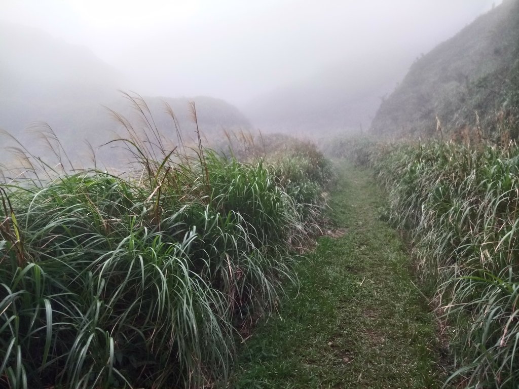 DSC_2828.JPG - 瑞芳  牡丹山