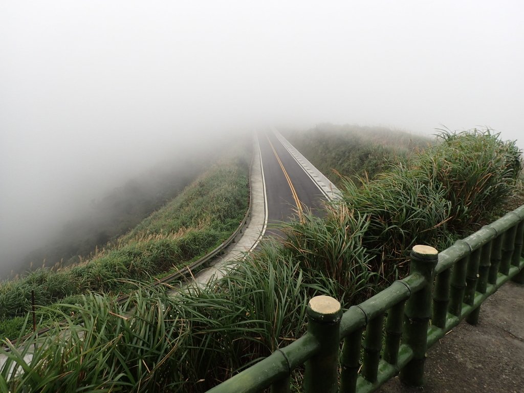 P1203529.JPG - 瑞芳  牡丹山