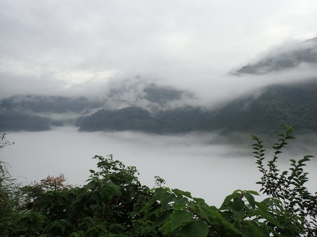 PA231543.JPG - 古坑  草嶺  雲山繚繞