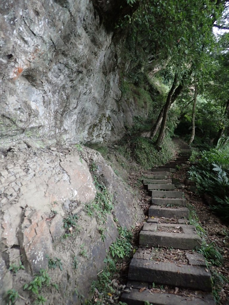 PA231747.JPG - 石壁山  嘉南雲峰步道