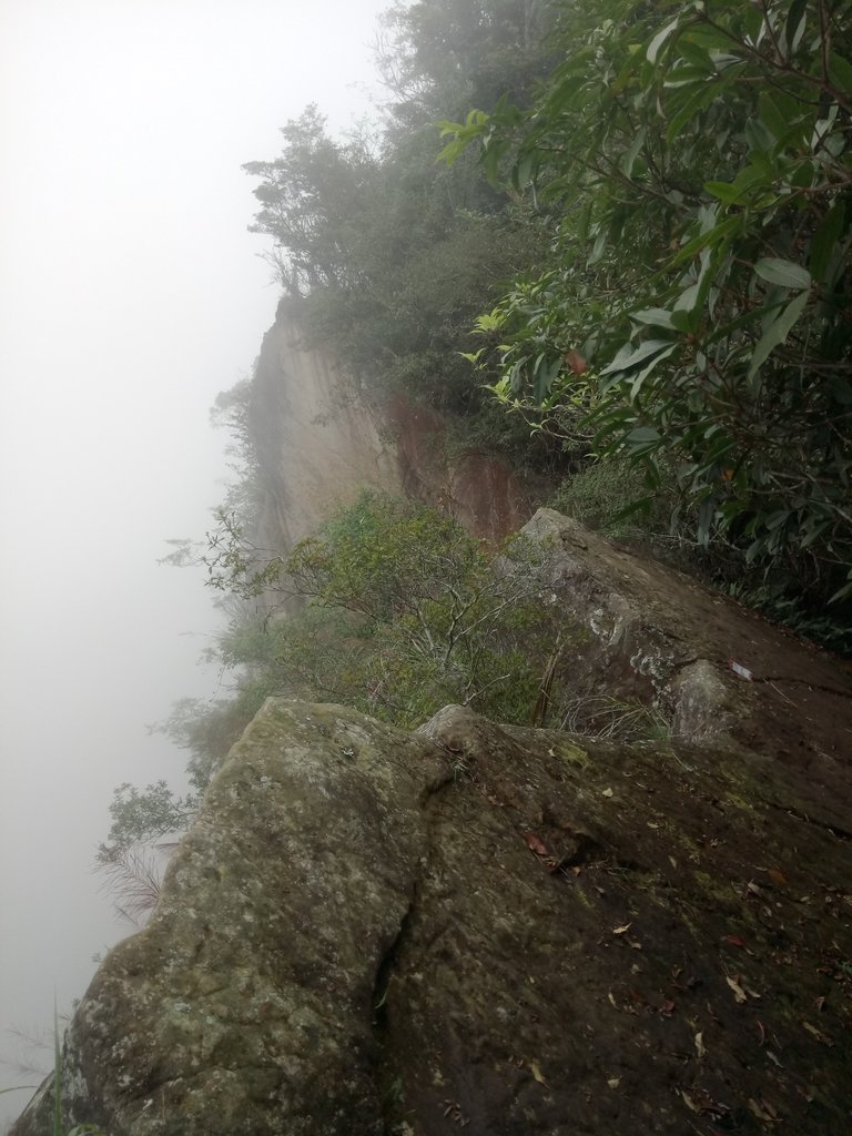 DSC_1265.JPG - 石壁山  嘉南雲峰步道