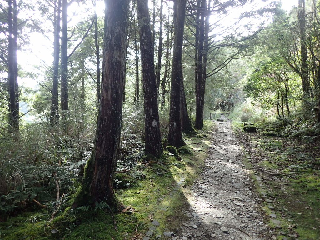 PB265491.JPG - 太平山  翠峰湖環山步道  02