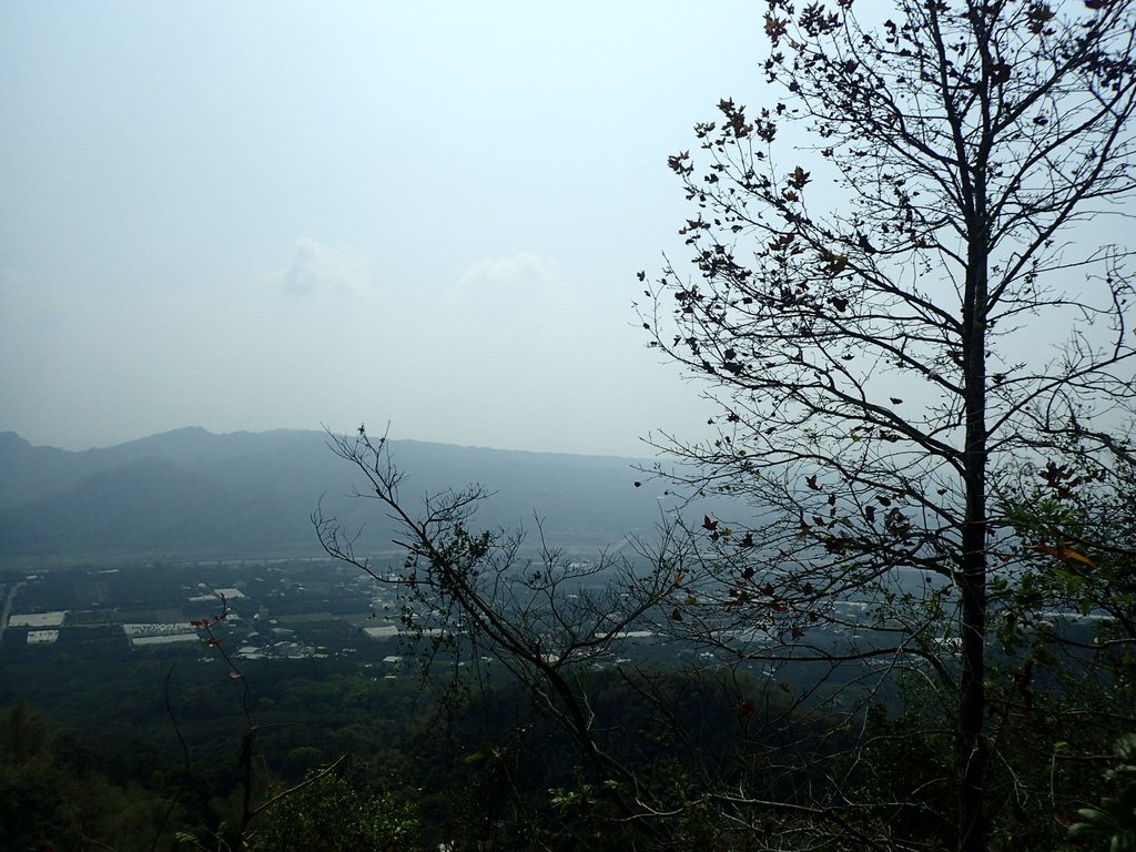 P3016068.JPG - 草屯平林  九九峰森林步道