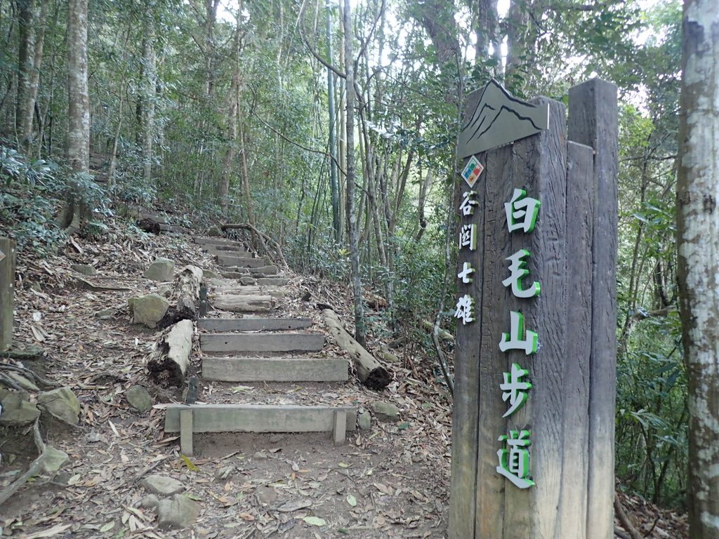 P3217520.JPG - 谷關七雄  白毛山  01