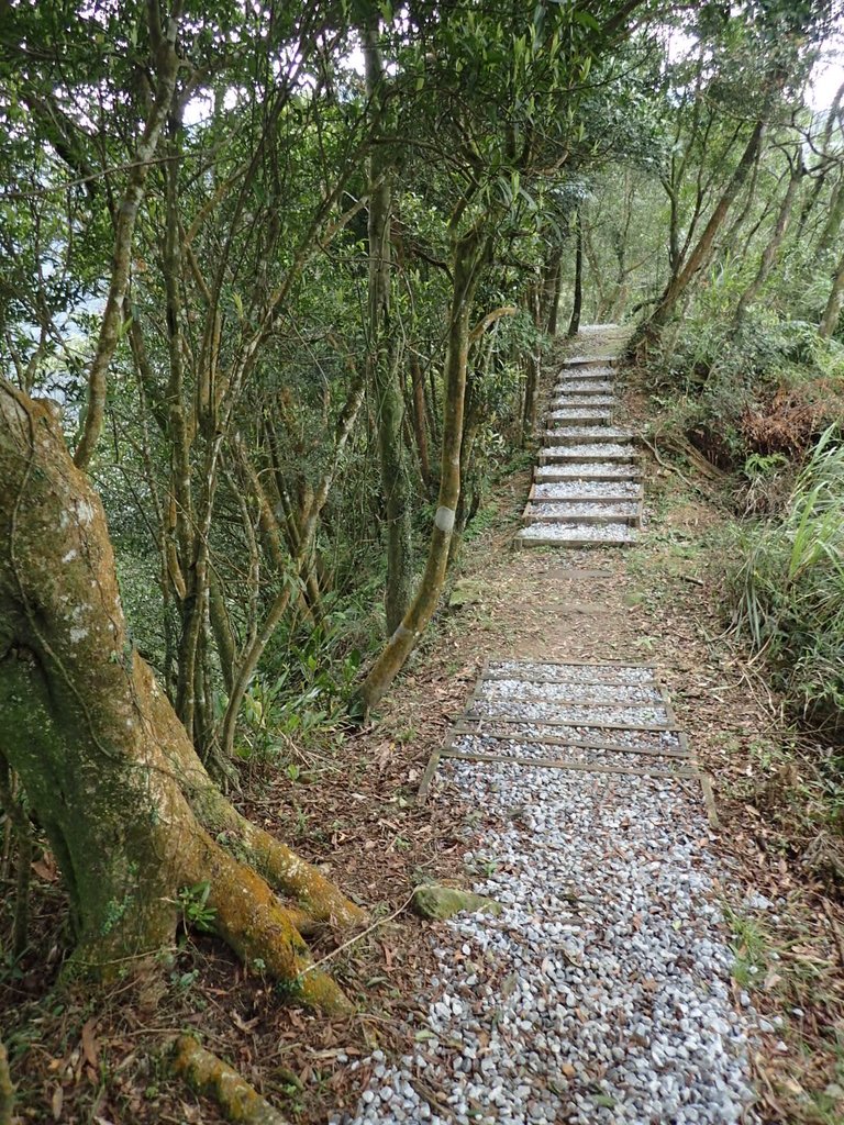 P3170402.JPG - 坪林  鬼子賴尖山