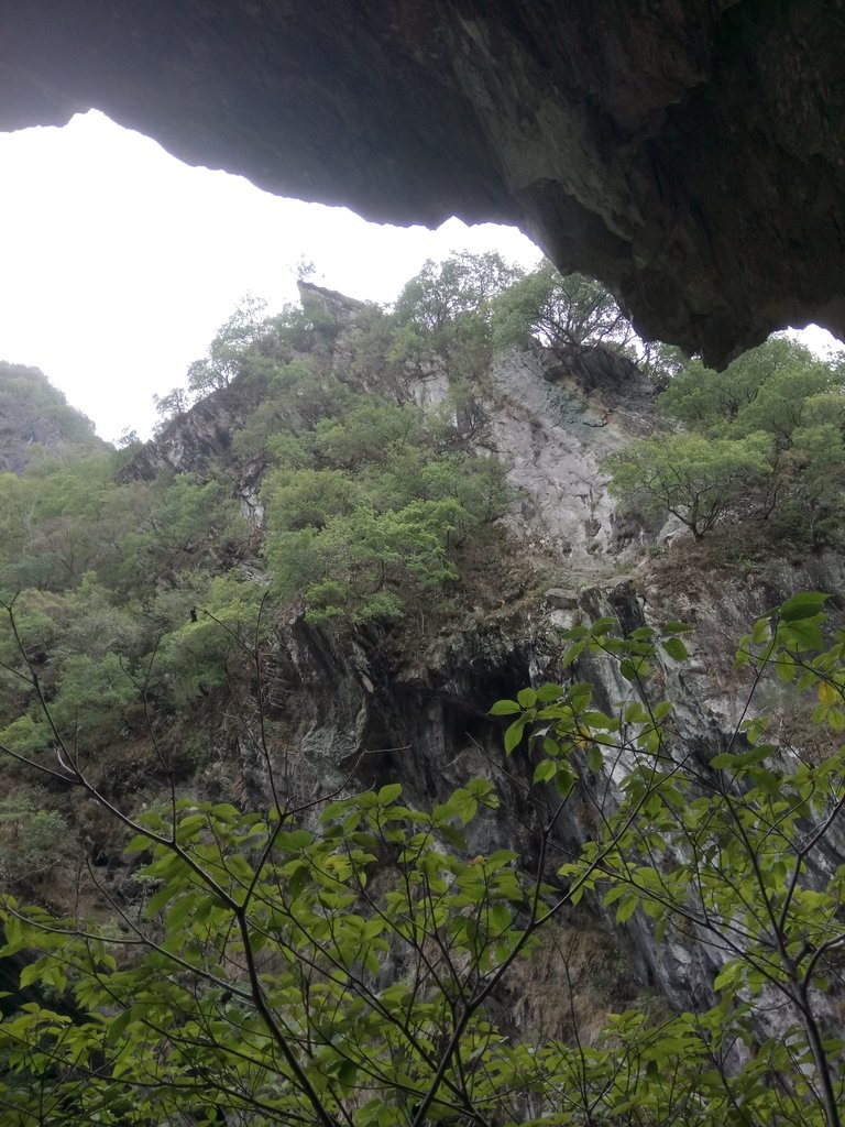 DSC_0549.JPG - 花蓮  天祥  白楊步道