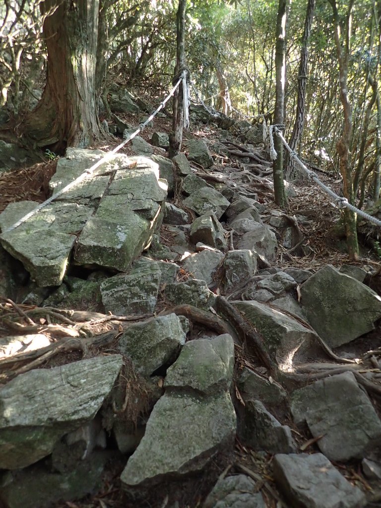 PA185484.JPG - 再訪---  台中  和平  鳶嘴山