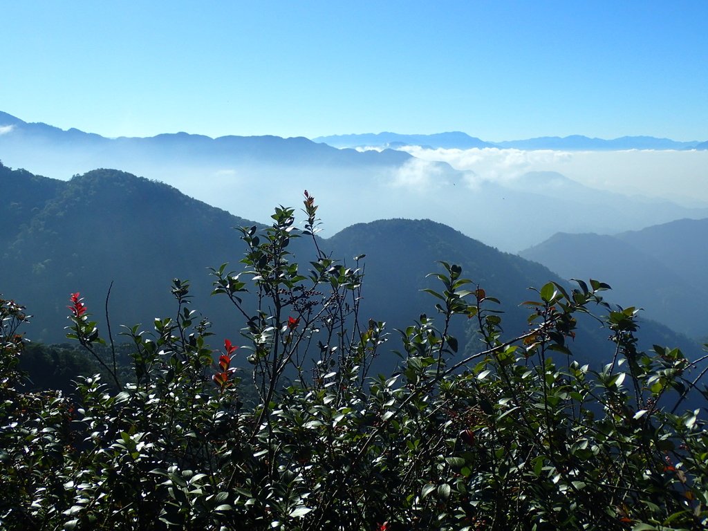 PA185535.JPG - 再訪---  台中  和平  鳶嘴山