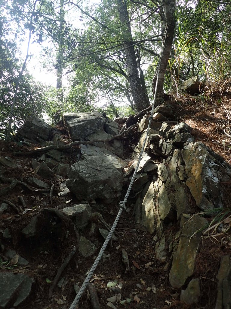 P3167331.JPG - 谷關七雄之  屋我尾山