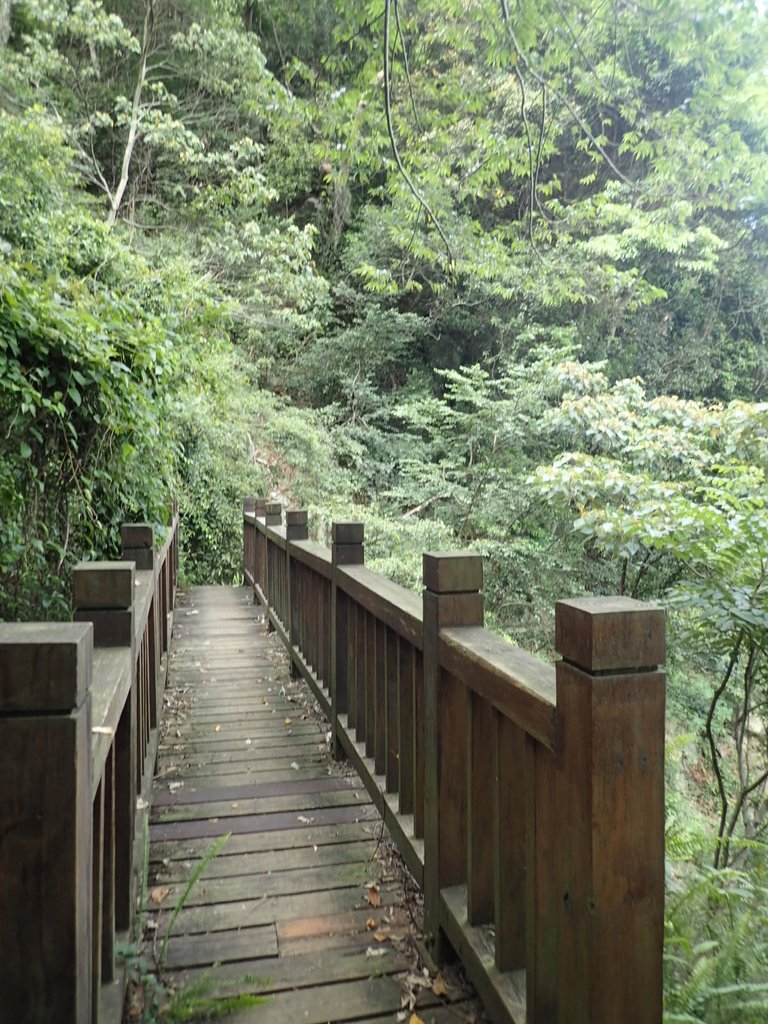 P6054033.JPG - 谷關  斯巴可步道