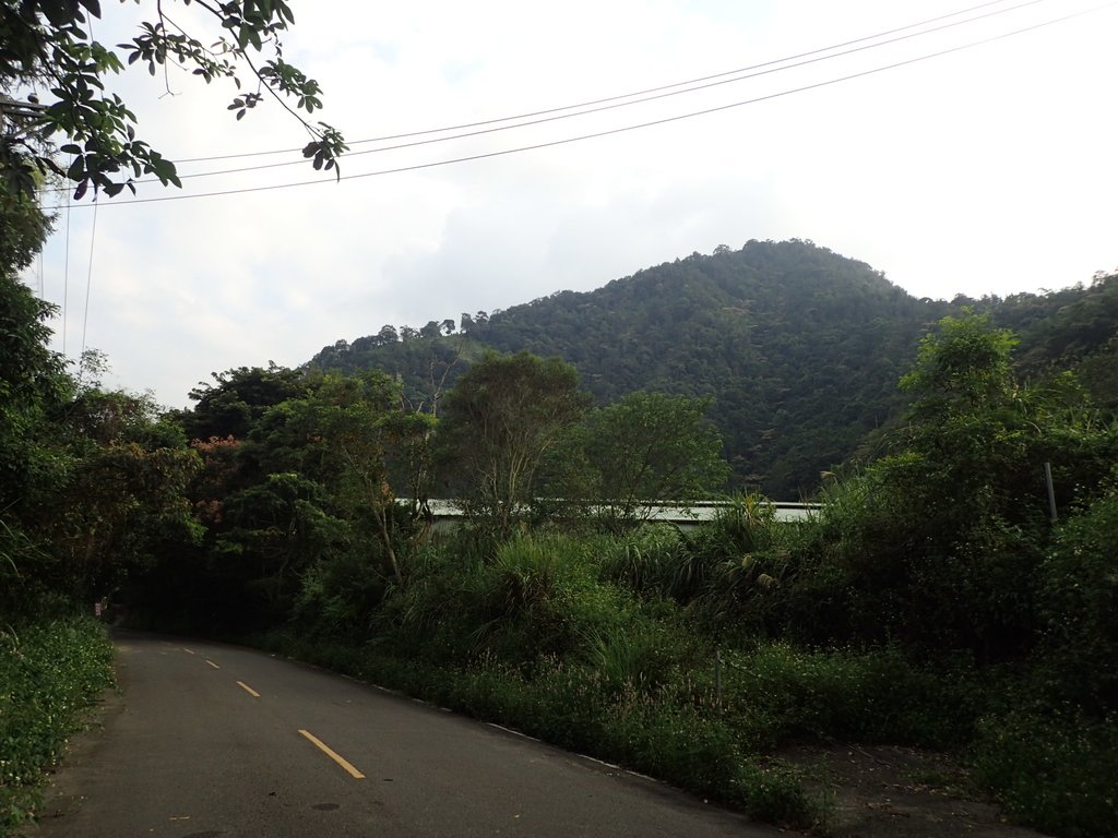 PA040509.JPG - 魚池  大尖山  鹽土坑林道