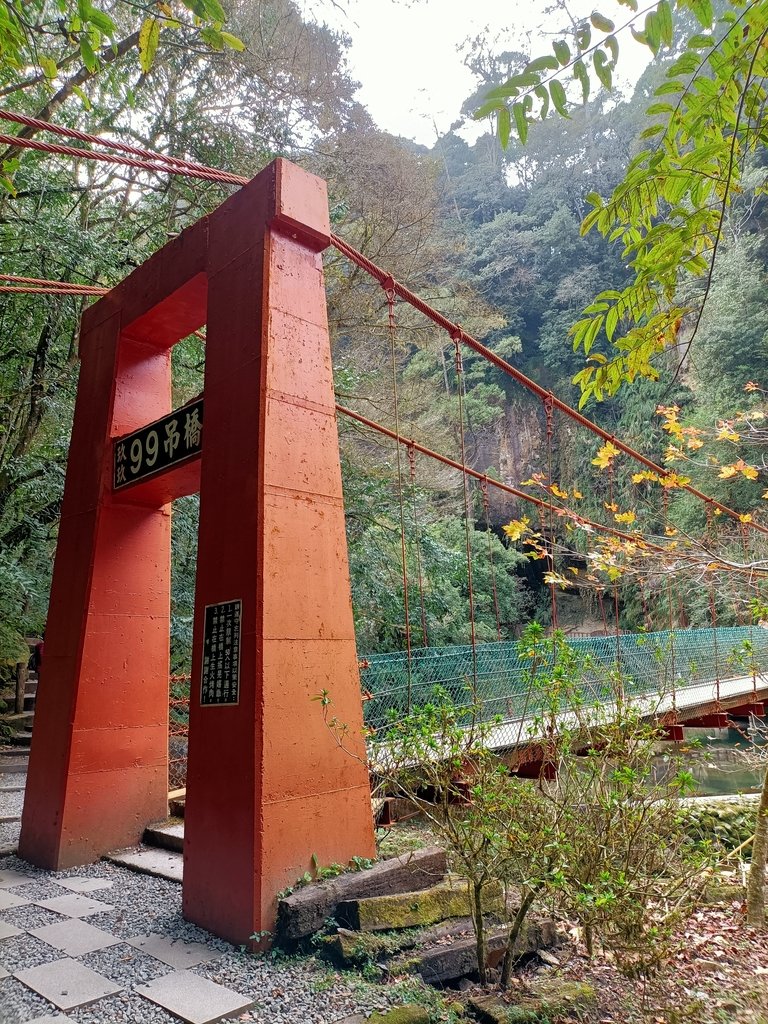 IMG20210205121757.jpg - 竹山  杉林溪森林遊樂園  路過