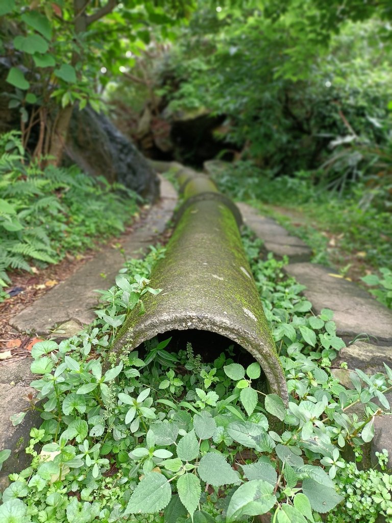 IMG20210416144235.jpg - 金瓜石之  戰俘營  內九份溪圳橋