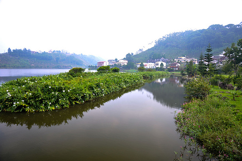 20141029165538.jpg - 鹿谷  麒麟潭  大水窟