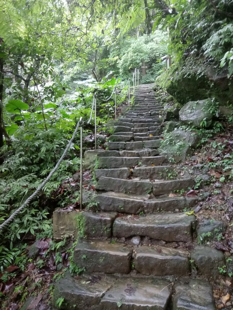 DSC_1746.JPG - 土城  天上山  登山步道