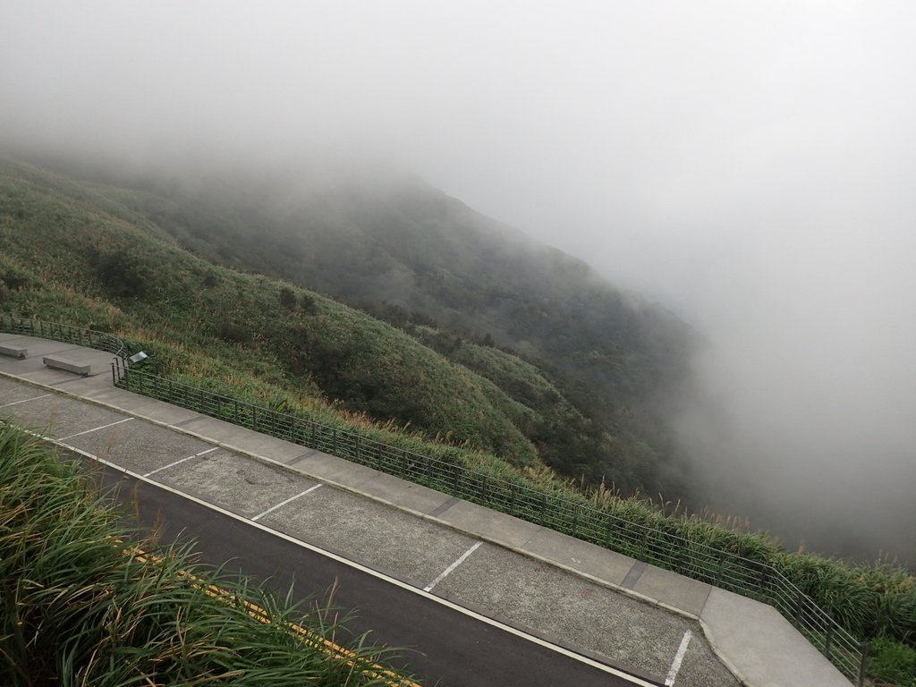 P1203532.JPG - 瑞芳  牡丹山