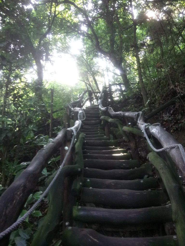 DSC_1248.JPG - 大坑四號步道  頭嵙山