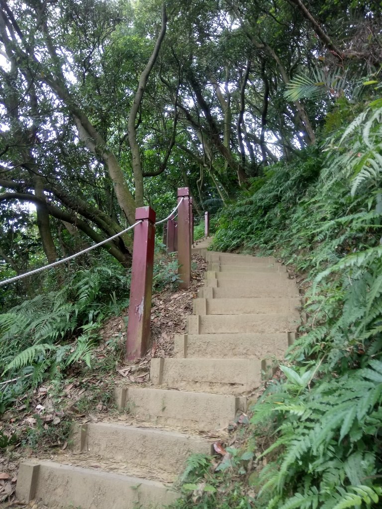 DSC_5161.JPG - 三峽  鳶山  (福德坑山)