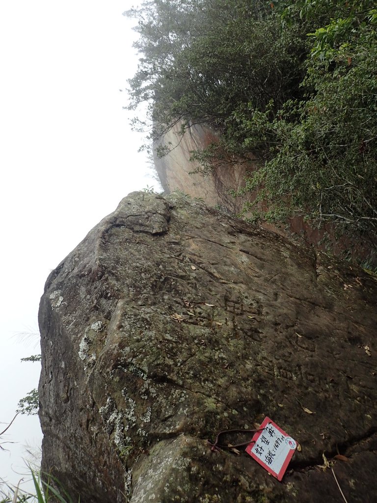 PA231722.JPG - 石壁山  嘉南雲峰步道