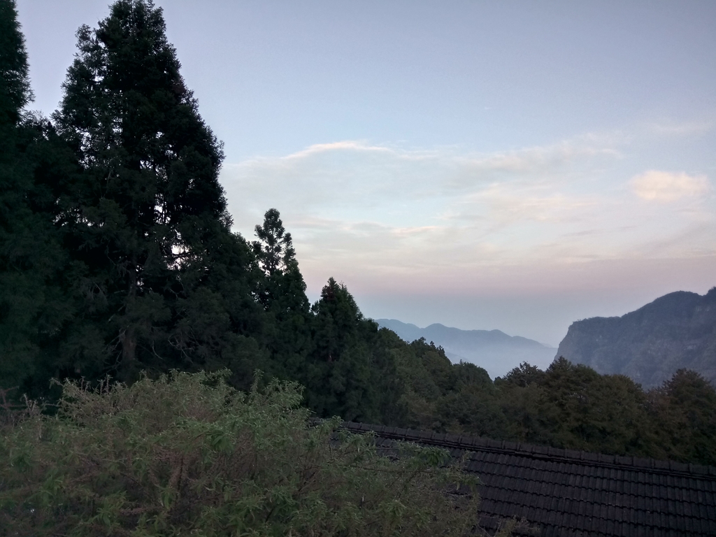 DSC_1618.JPG - 阿里山  沼平公園  賞櫻