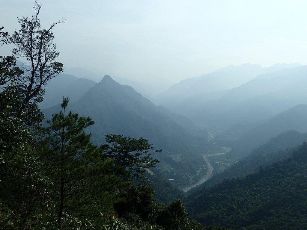 P3217599.JPG - 谷關七雄  白毛山  02