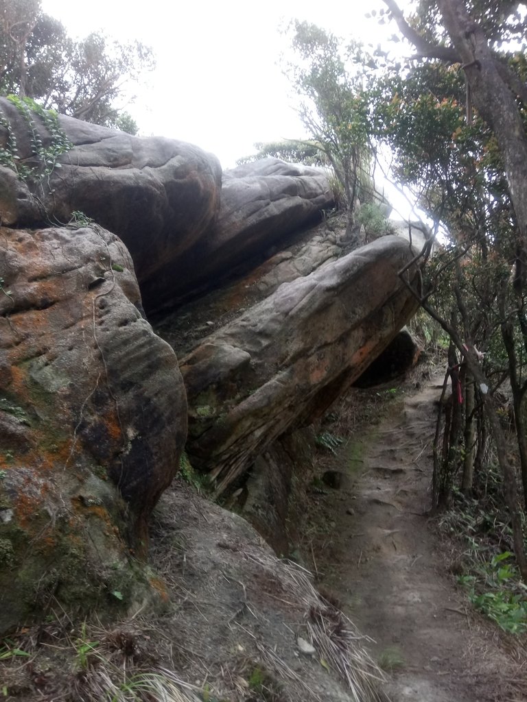 DSC_6997.JPG - 汐止  柯子林山  如意湖