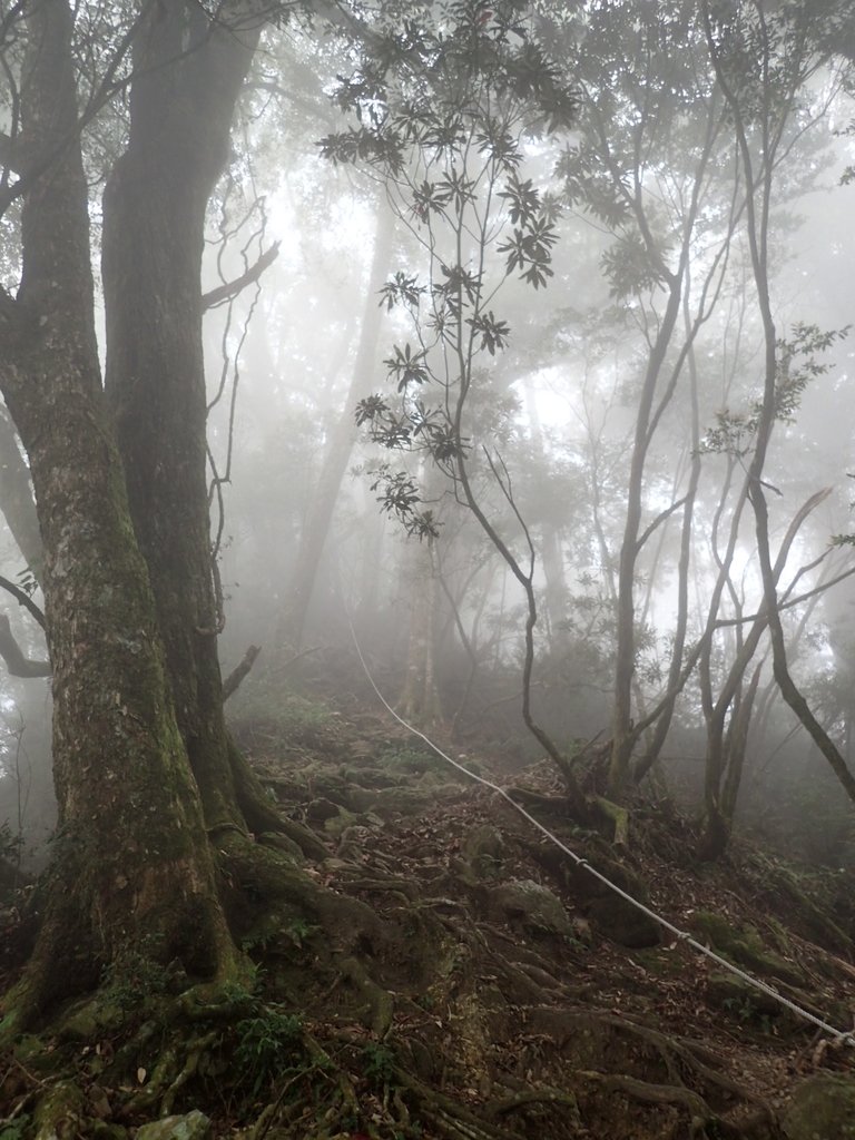 PA185699.JPG - 台中  和平  稍來山南峰