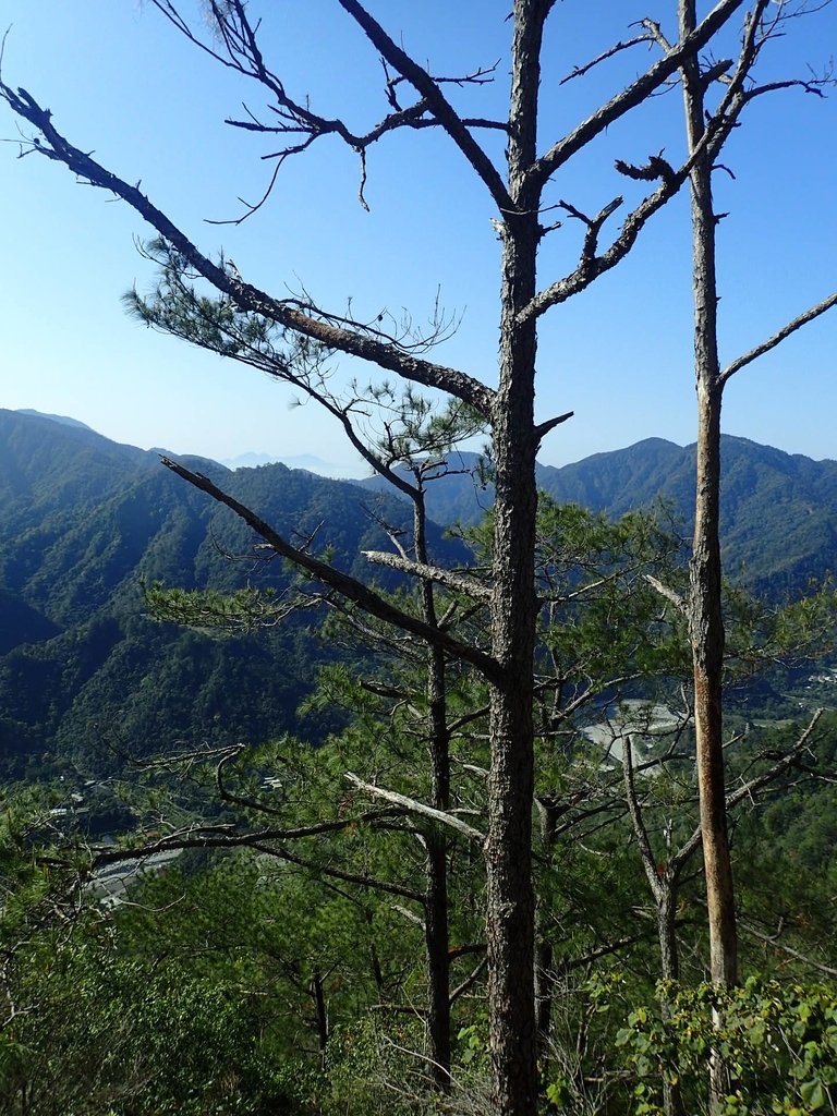 P3167187.JPG - 谷關  東卯山東南稜