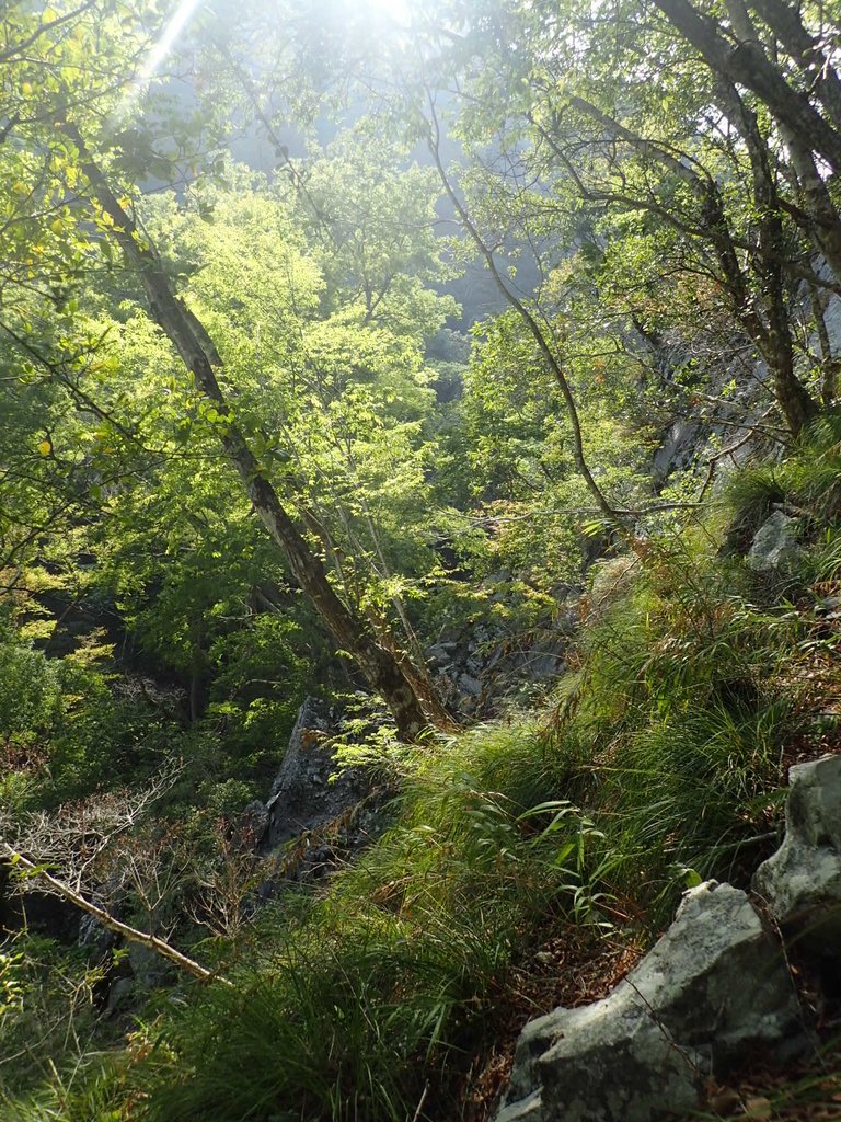 P3167337.JPG - 谷關七雄之  屋我尾山