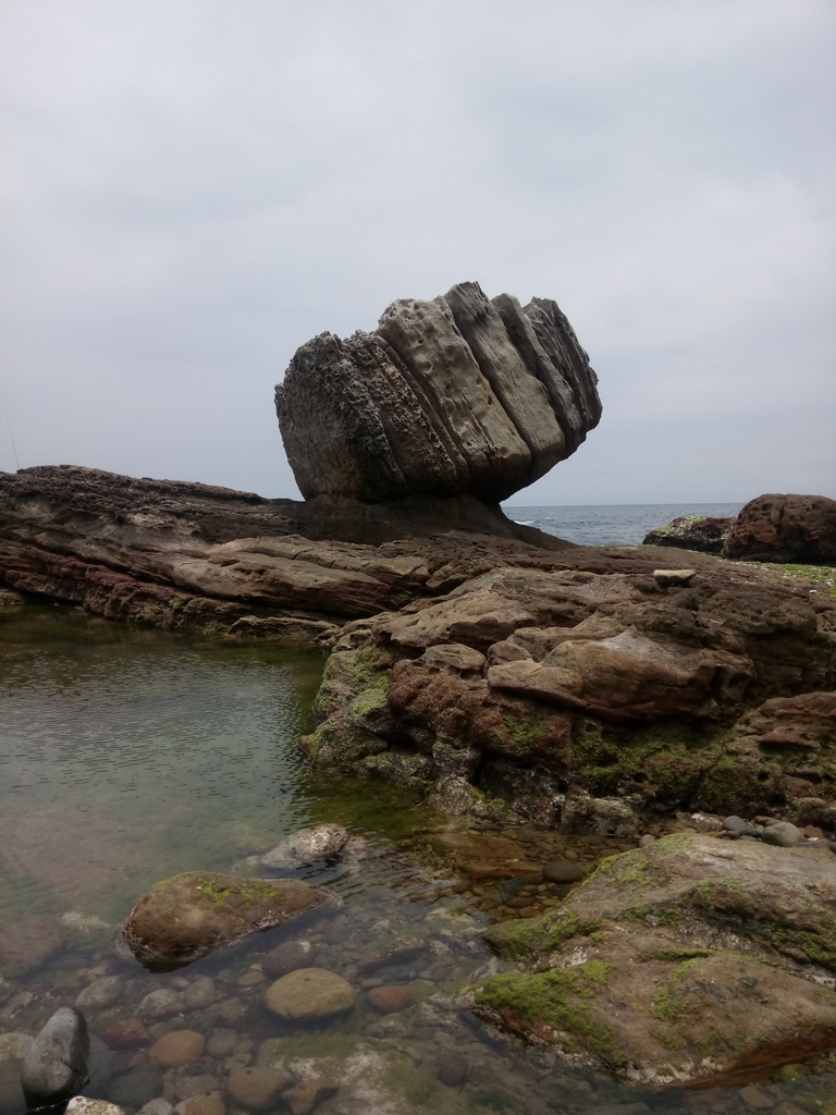 DSC_7997.JPG - 萬里  拳頭石海岸