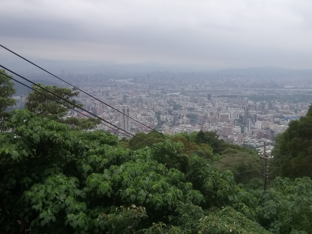 DSC_5803.JPG - 陽明山  水管路古道行