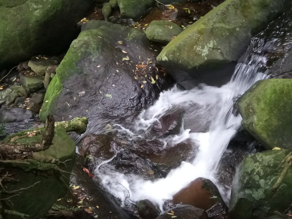 DSC_0710.JPG - 三芝  大屯溪古道