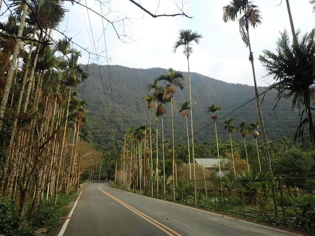 PA040514.JPG - 魚池  大尖山  鹽土坑林道