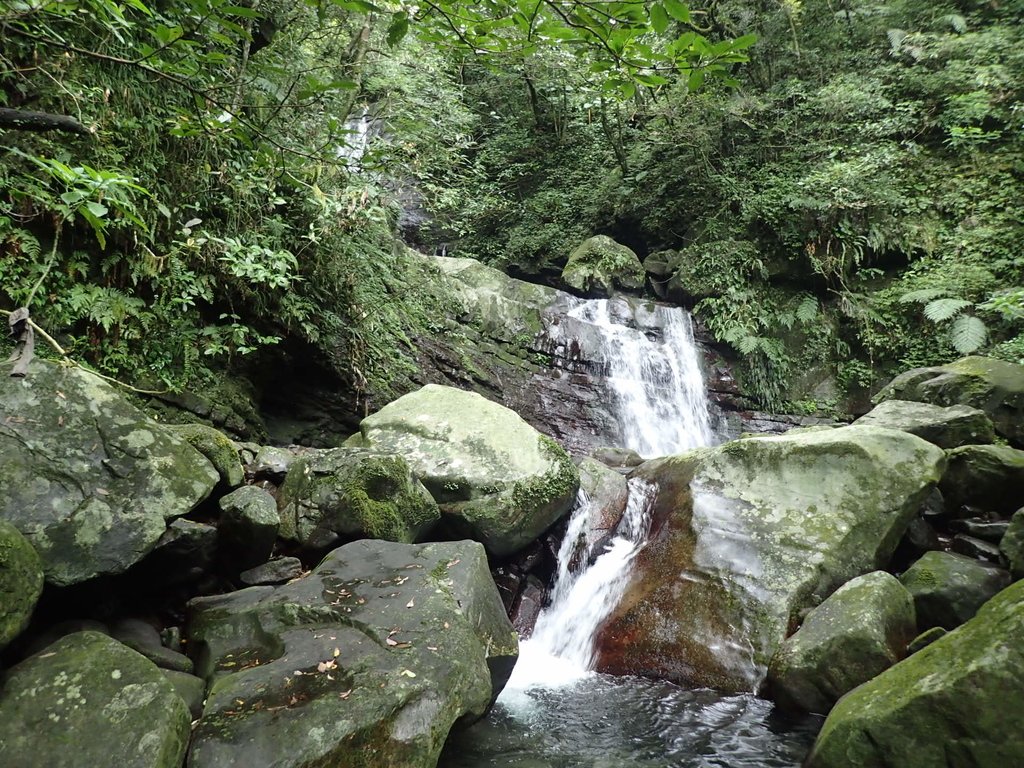 P7175551.JPG - 坪林  石嘈  尖山湖瀑布