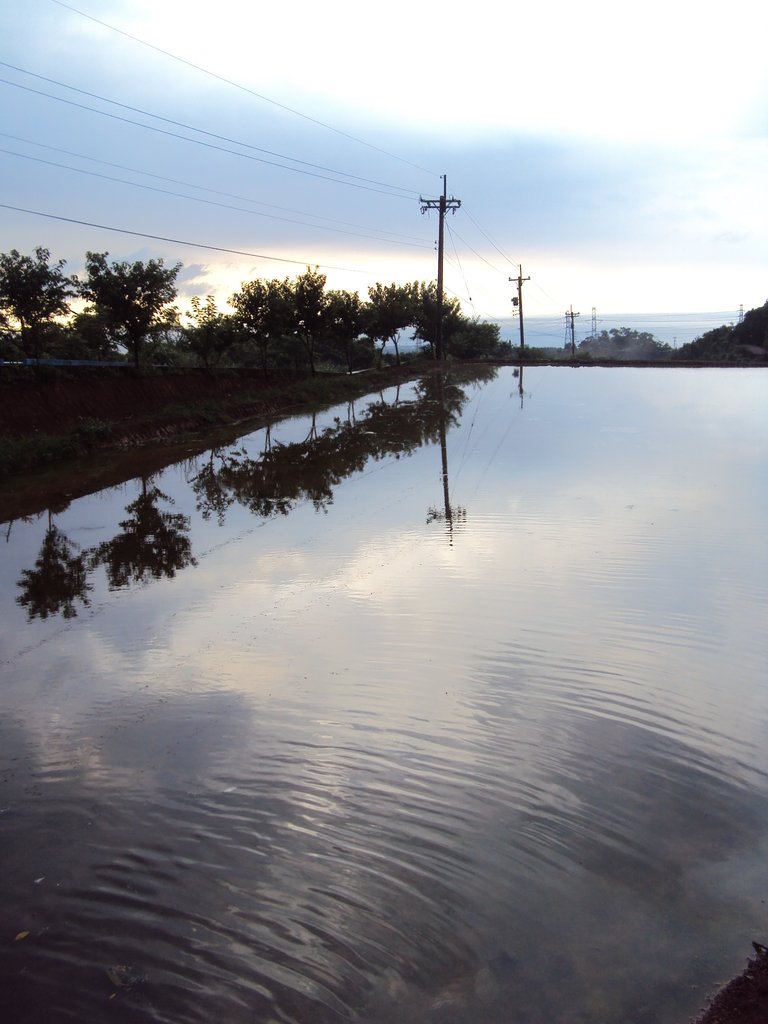 DSC09113.JPG - 石門  水塘映像