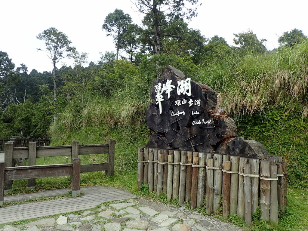 P8226859.JPG - 太平山  翠峰湖