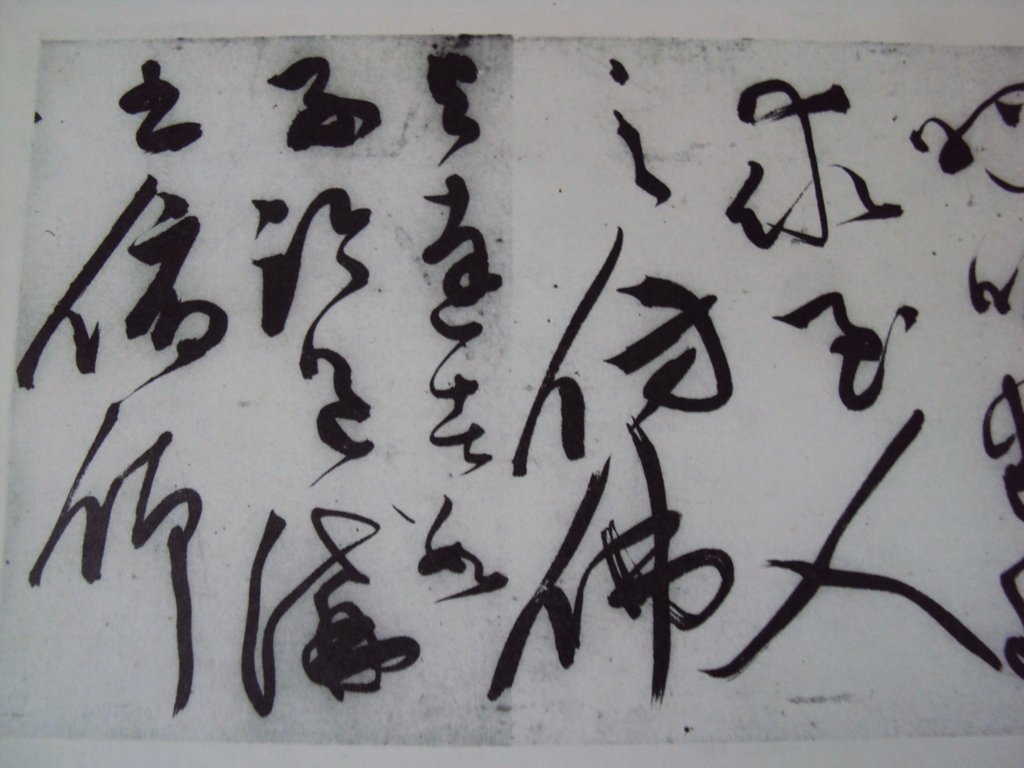 DSC00013.JPG - 陳淳的草書作品