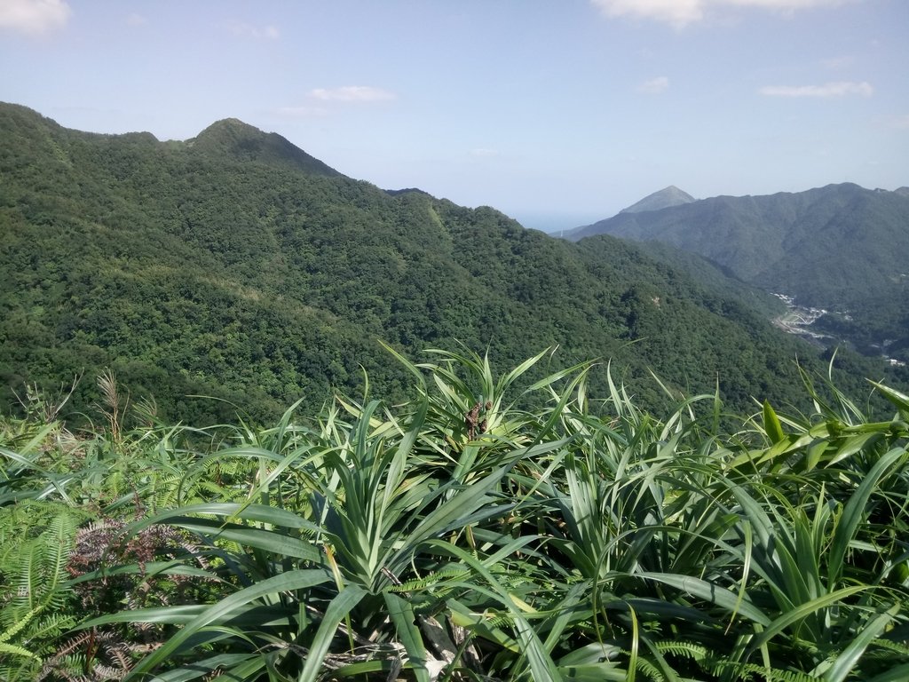 DSC_8379.JPG - 侯硐  獅子嘴奇岩