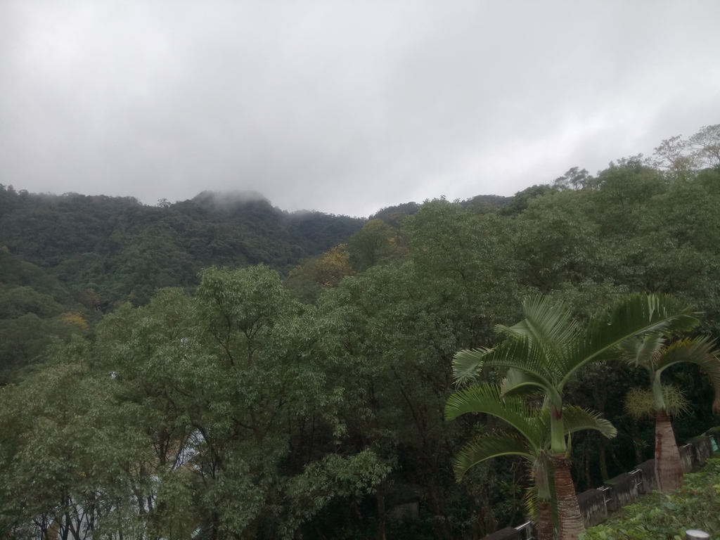 DSC_1750.JPG - 土城  天上山  登山步道