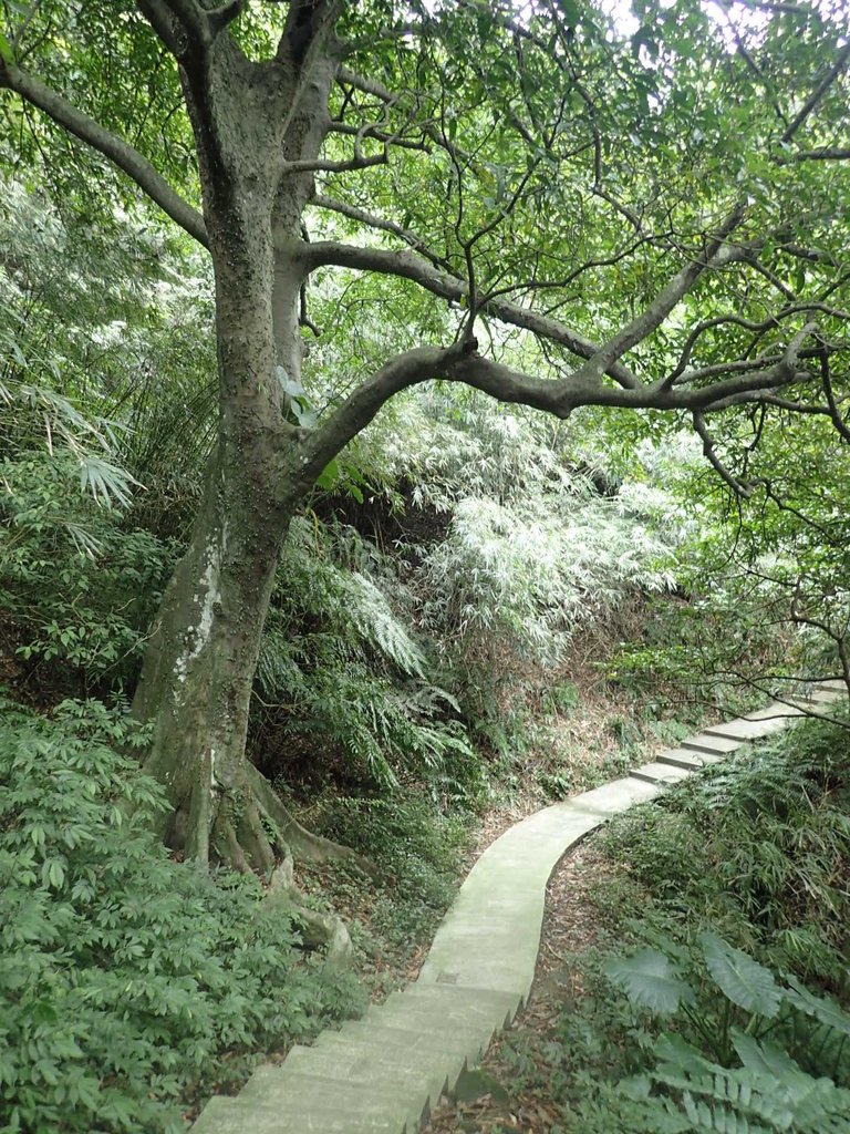 P1233856.JPG - 再訪---  基隆  紅淡山