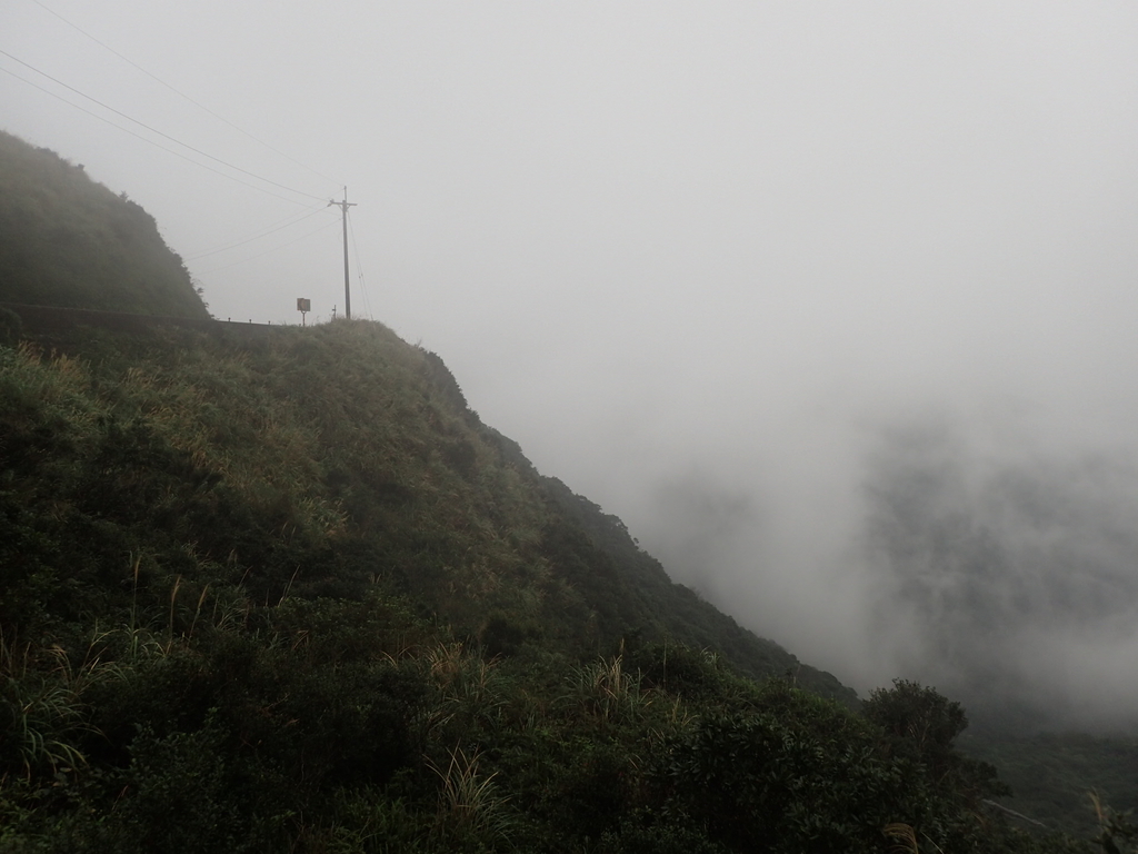 P1203570.JPG - 瑞芳  牡丹山