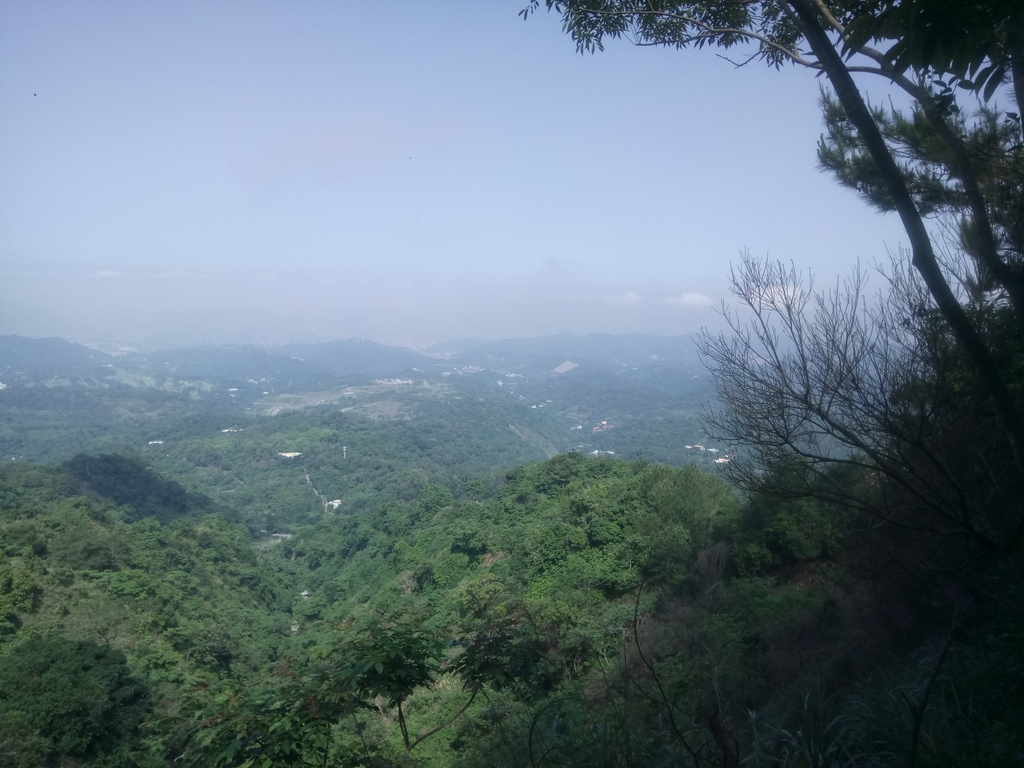 DSC_1256.JPG - 大坑四號步道  頭嵙山