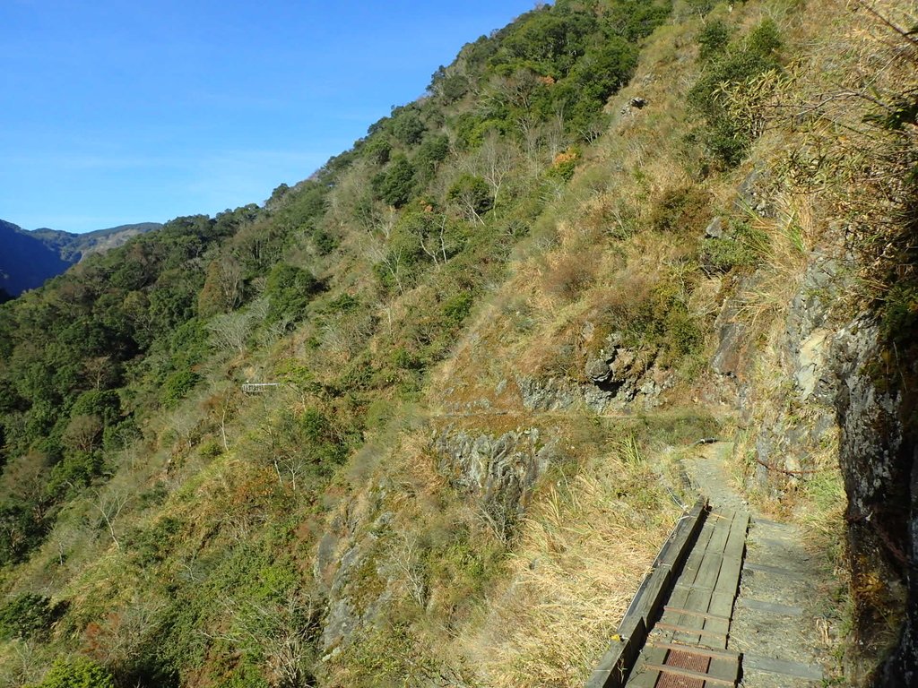 P1022733.JPG - 東埔  八通關古道