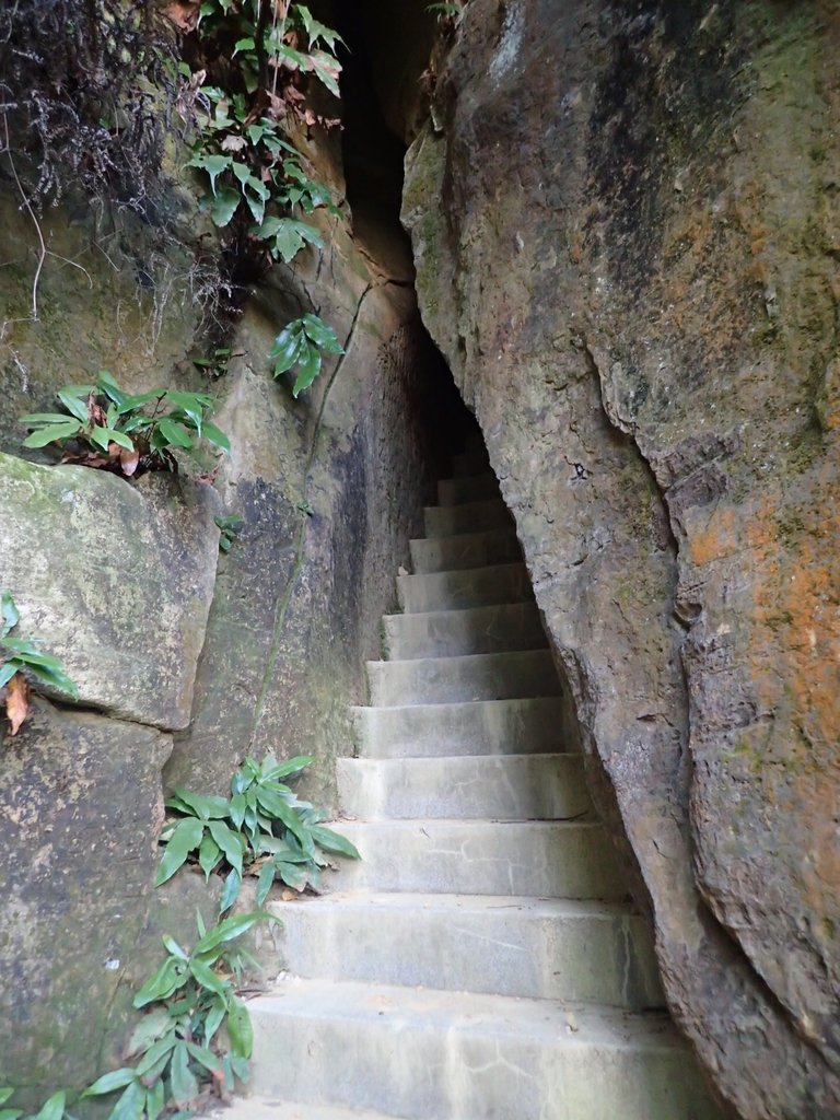 PB300546.JPG - 中和  圓通禪寺之  摩崖石刻