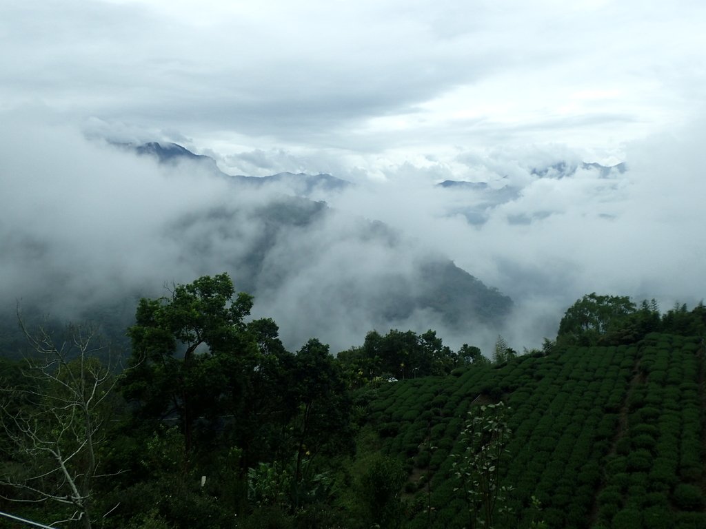 PA231661.JPG - 古坑  草嶺  雲山繚繞