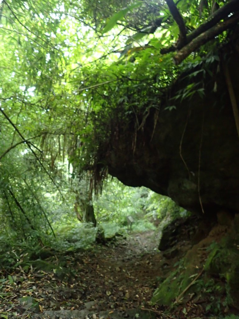 PA231751.JPG - 石壁山  嘉南雲峰步道