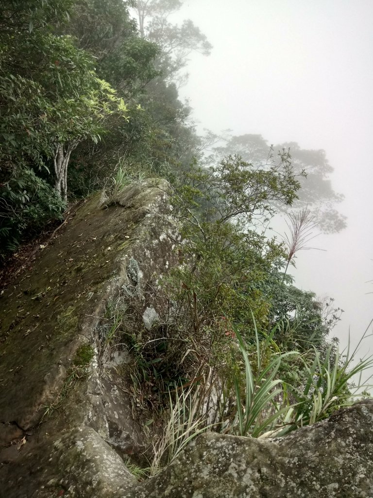 DSC_1271.JPG - 石壁山  嘉南雲峰步道